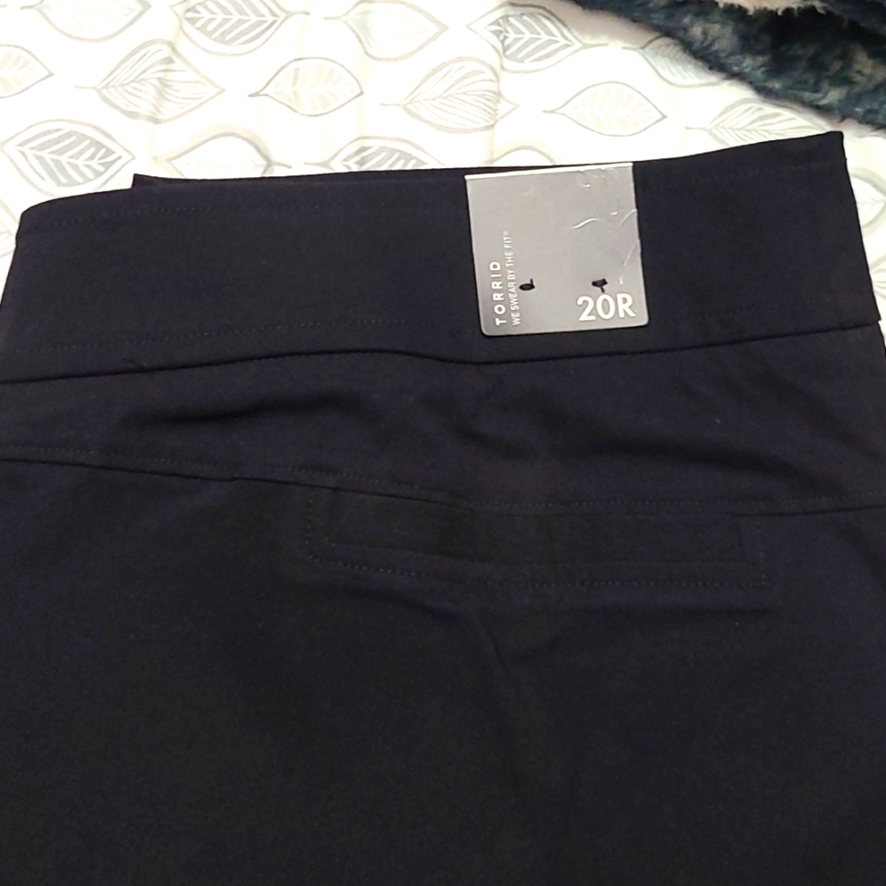 Dress pants